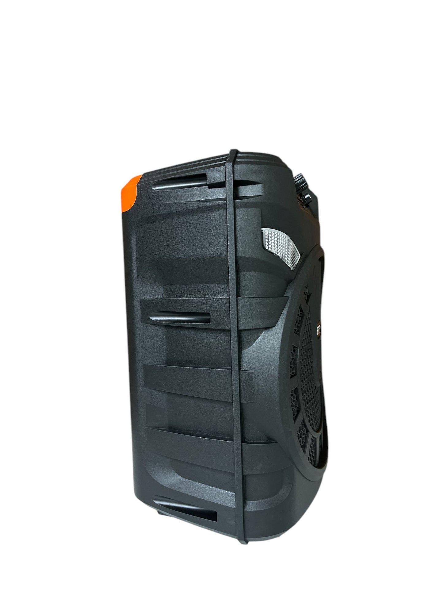 Parlante Recargable 30cm con Micrófono