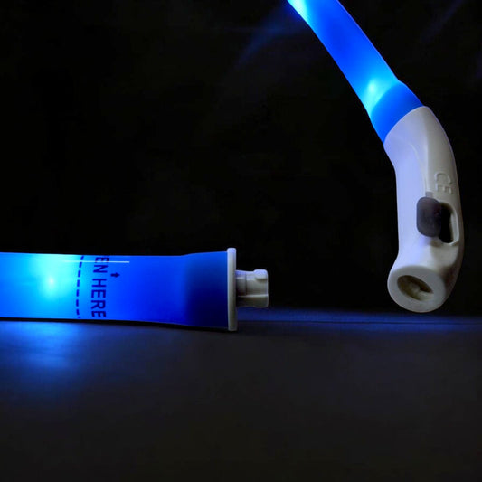 Collar Luminoso para Perro (gr) LED Recargable Ajustable 22 cm
