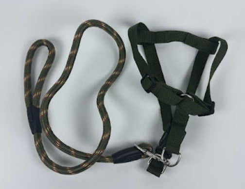 Correa para Perro con Pretal GR