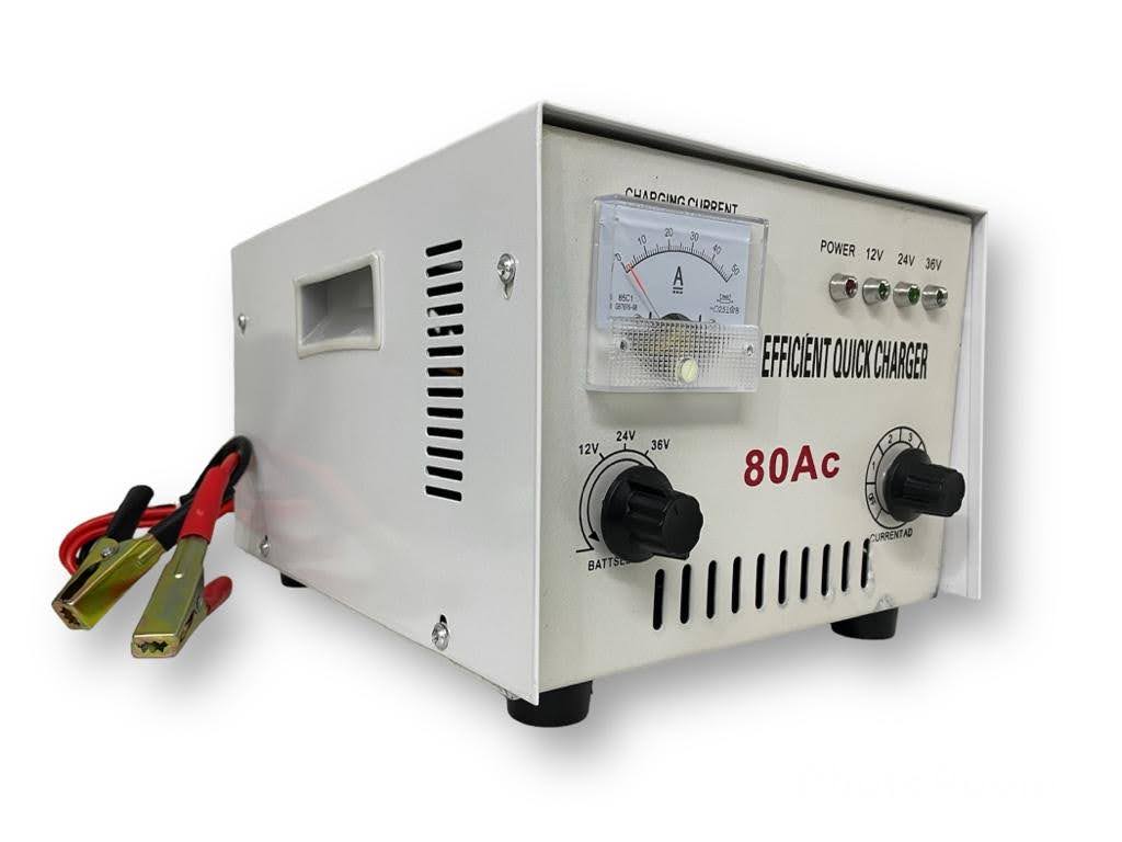 Cargador Auto 80AMP