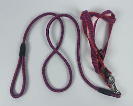 Correa perro con pretal ch