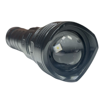 LINTERNA PLASTICA BEACHARGEABLE