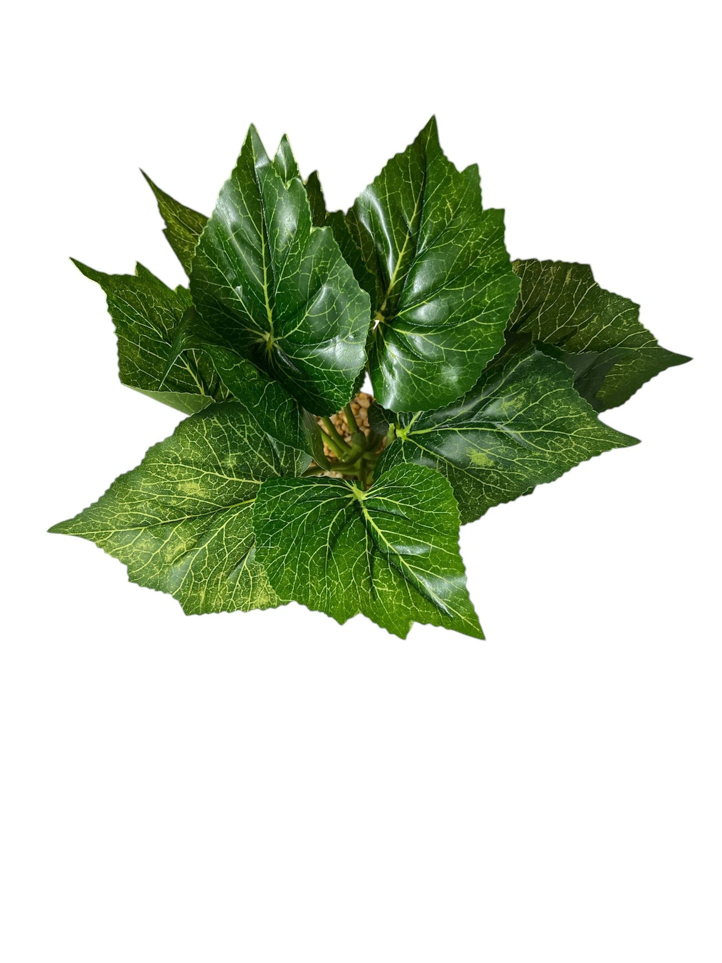 Planta Artificial de 29 cm Hojas Bordes Dentados