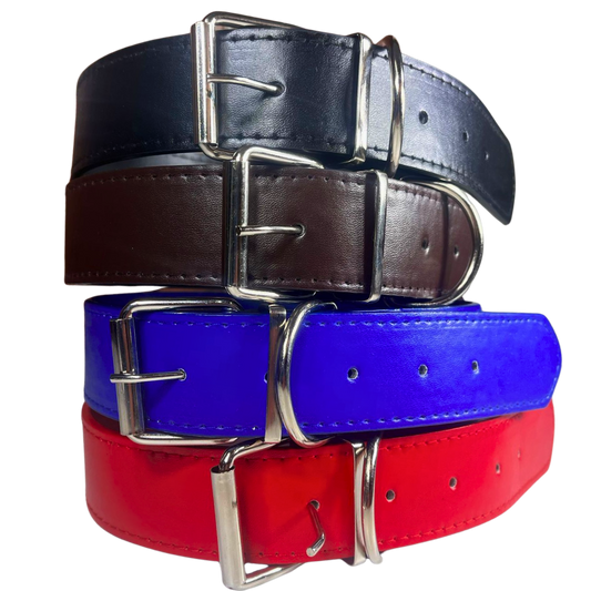 Collar de Perro de Cuero