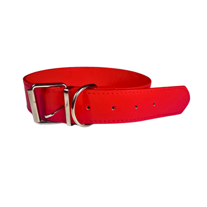 Collar de Perro de Cuero