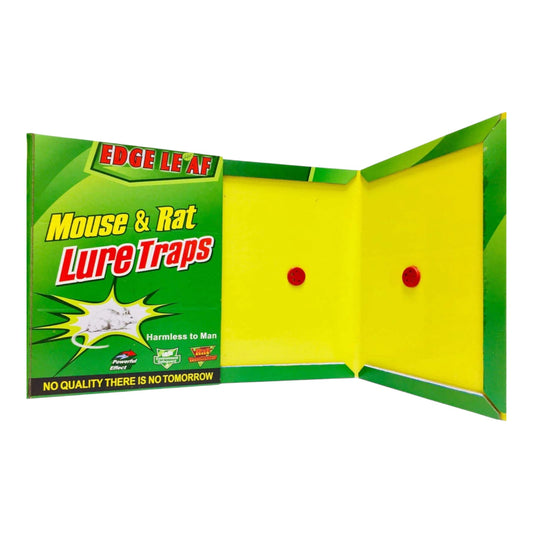 Pegamento para Rata Grande