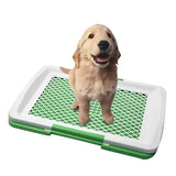 Bandeja Sanitaria para Mascotas Entrenamiento
