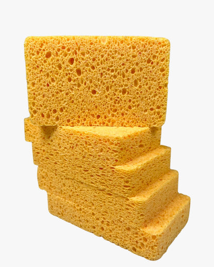 Esponja Celulosa  X 5