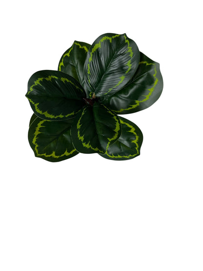 Planta Artificial 24 cm Calathea
