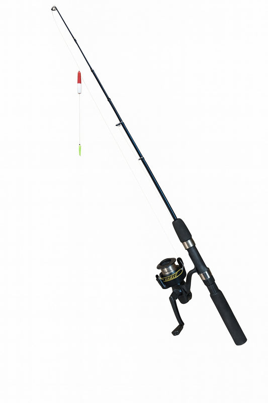 Caña Blister Supeior