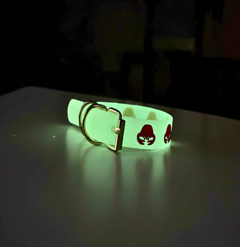 Set de Collares x6 Retroliminicentes