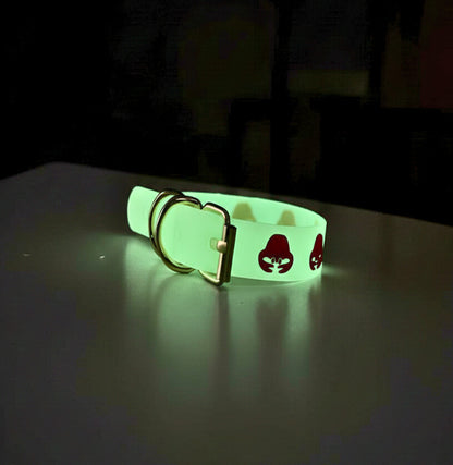 Set de Collares x6 Retroliminicentes