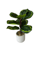 Planta de plastico "Hoja manchada" de  24cm